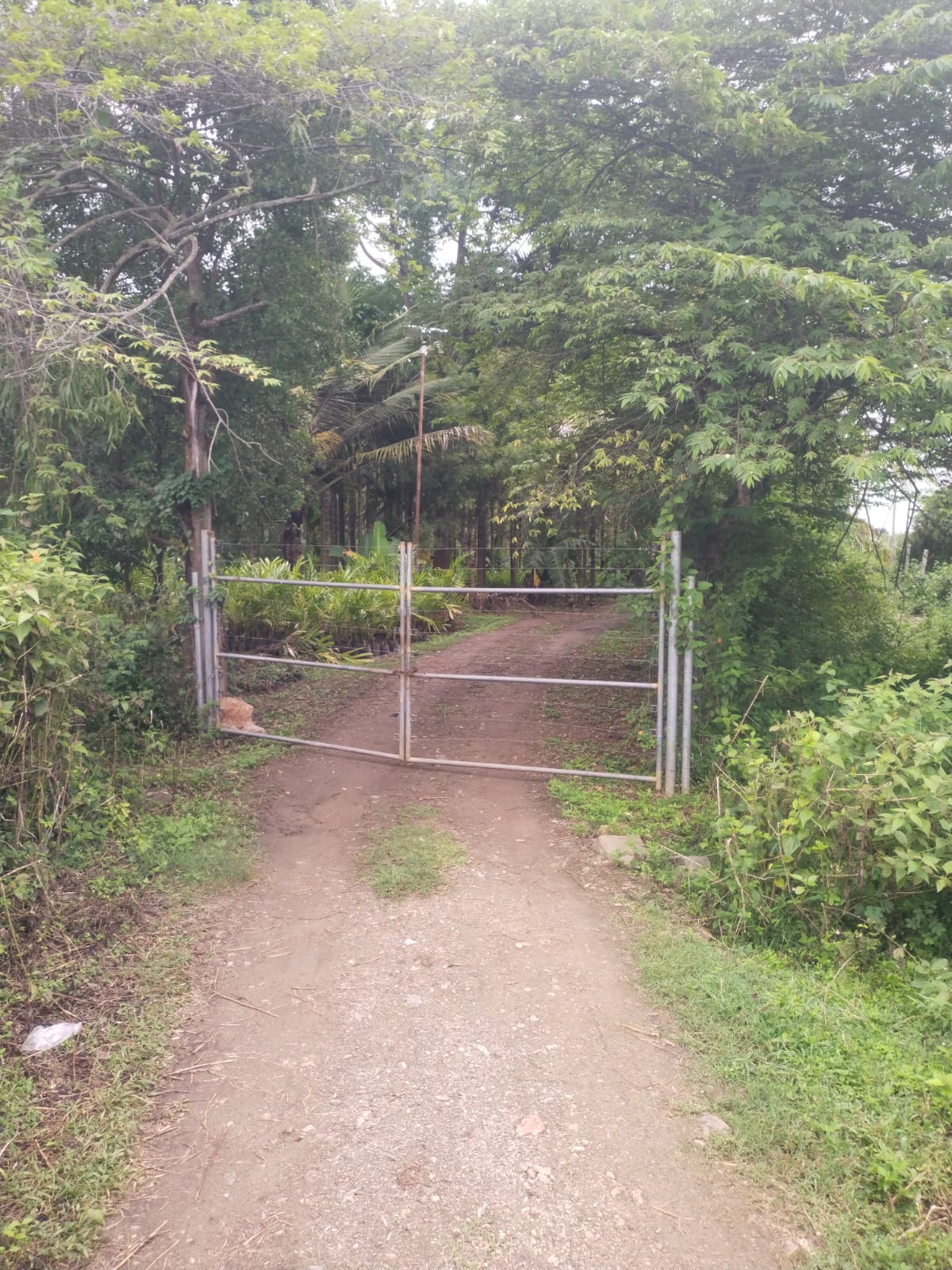 Secure Farm Gate