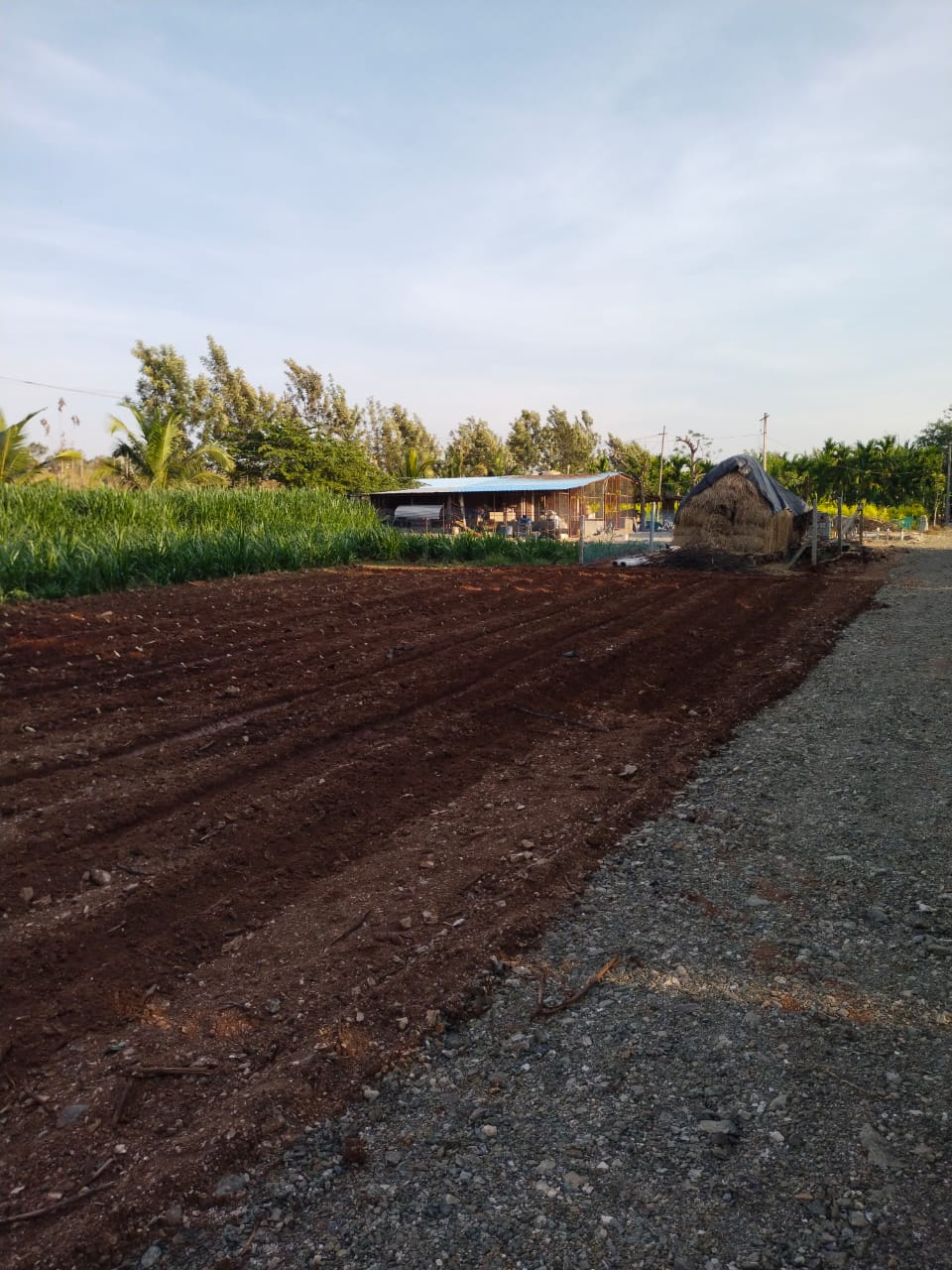 Farm Infrastructure and Sheds